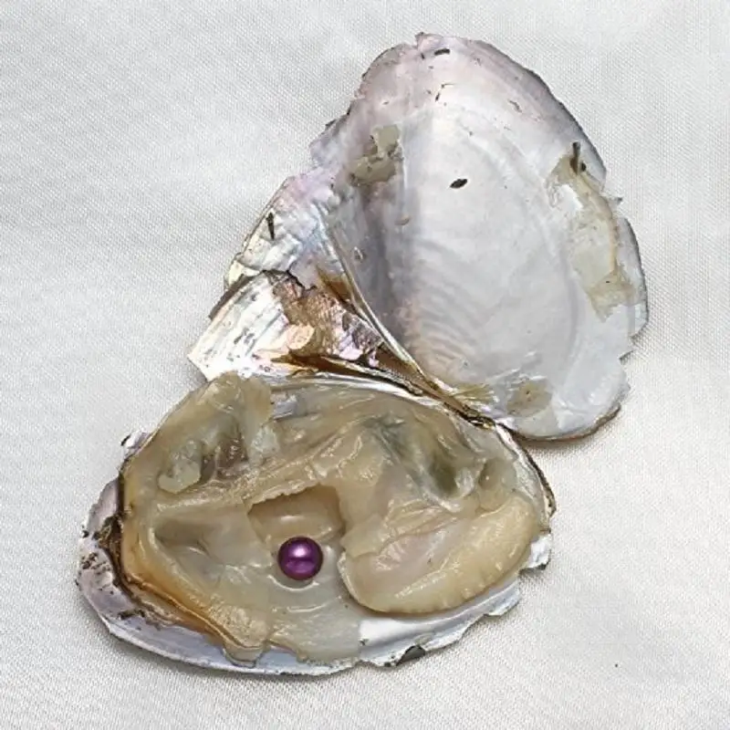 Круглые жемчужины Oyster новинка 2019 6 8 мм смешанные цвета натуральный жемчуг для