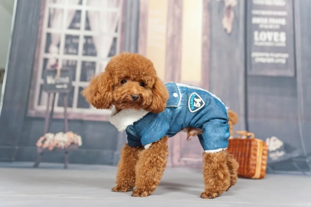HOOPET 1pcs/lot Doggy Fashion Denim Jumpsuits Dog Cat Cool Tracksuits Puppy Clothes Pets Supplies Costume Sweaters