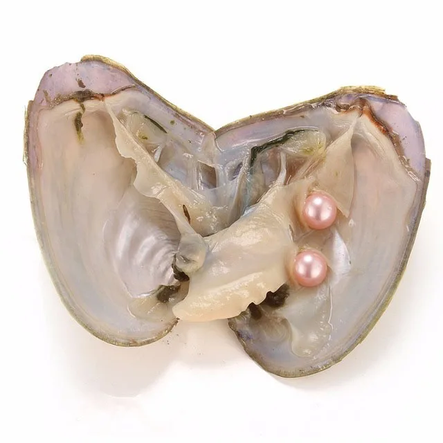 20 шт./лот 6-7 мм круглые Близнецы с жемчугом различные цвета Love Wish Pearl пресноводные
