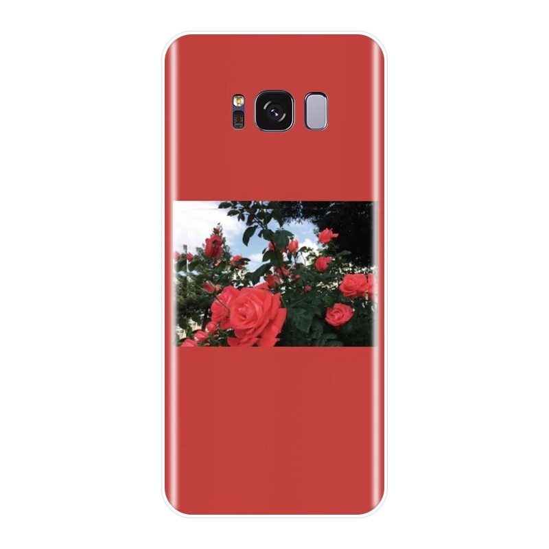 Мягкий силиконовый чехол для телефона Samsung Galaxy S8 S9 Plus S5 S6 S7 Edge задняя крышка с