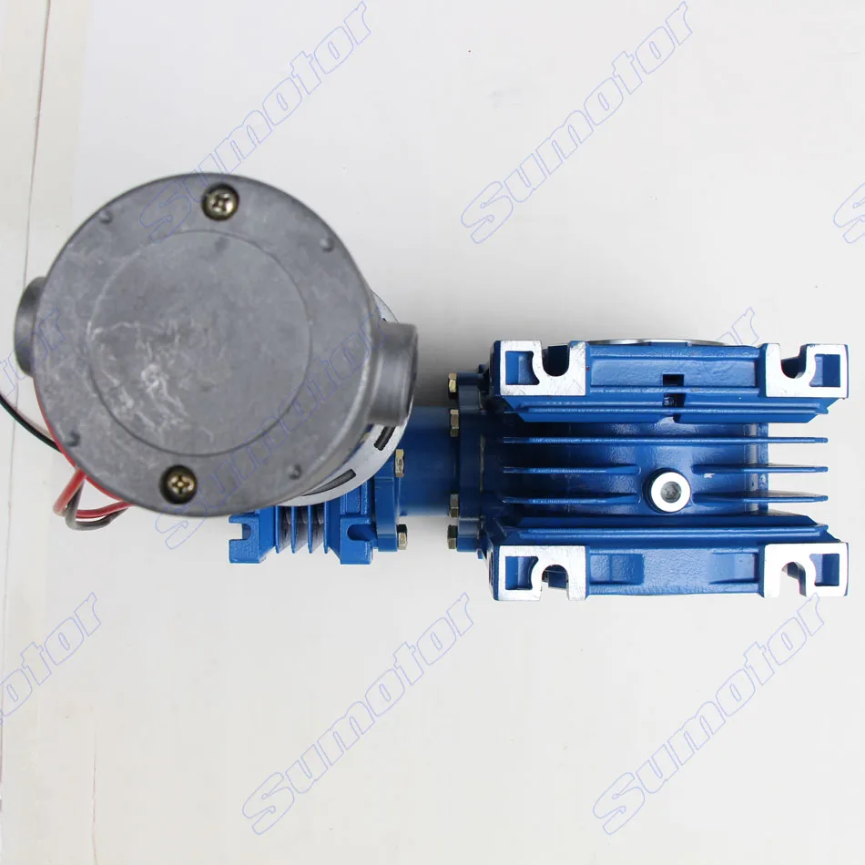 GW030050 DC 24 В 6.5A 100 Вт ультра низкая скорость высокая Передаточное отношение высокий крутящий момент двойной вал Выходной диаметр Электрический червячный мотор-редуктор