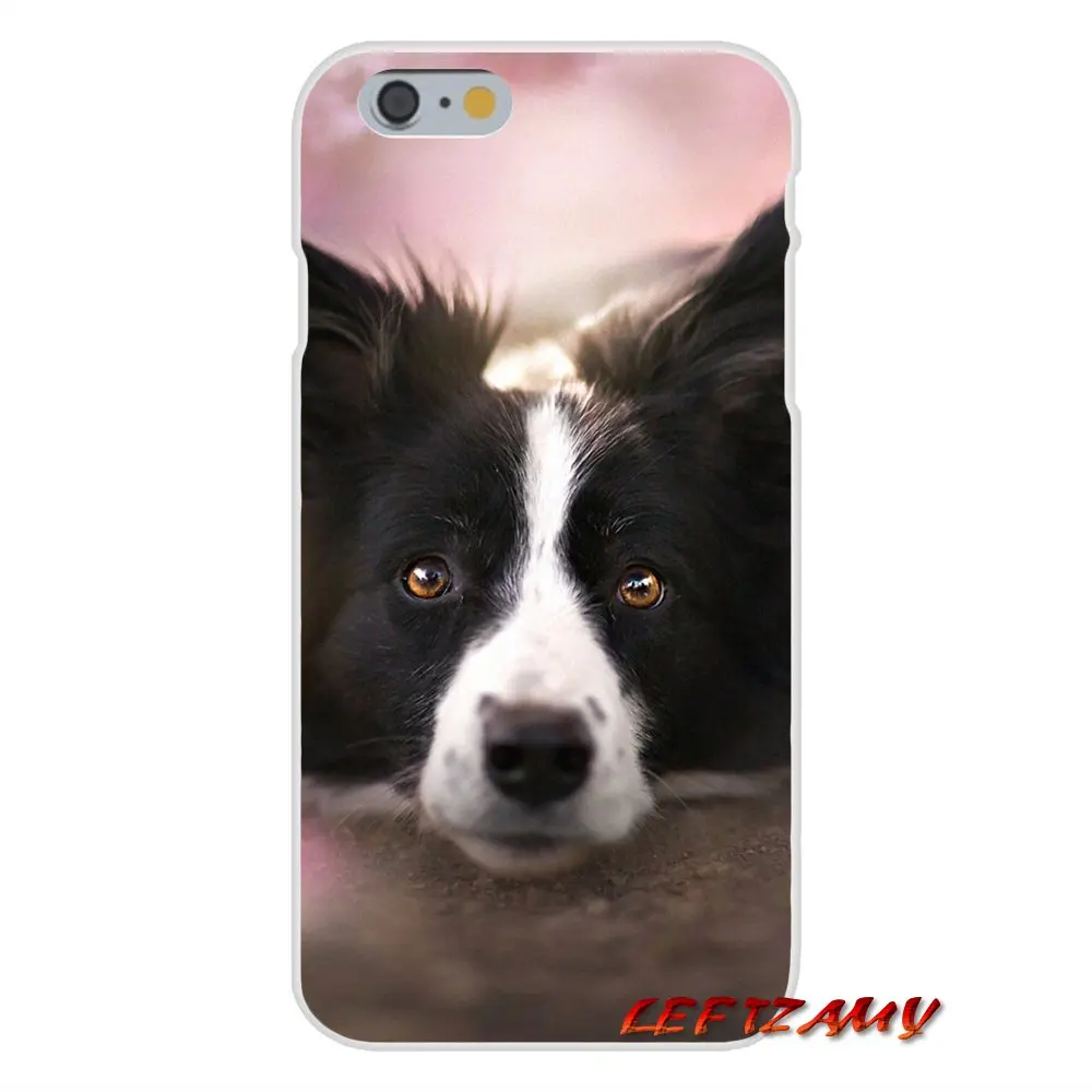 Аксессуары для телефона чехлы телефонов Border Collie lovely Dog Для Huawei P Smart Mate Honor 7A 7C 8C 8X 9