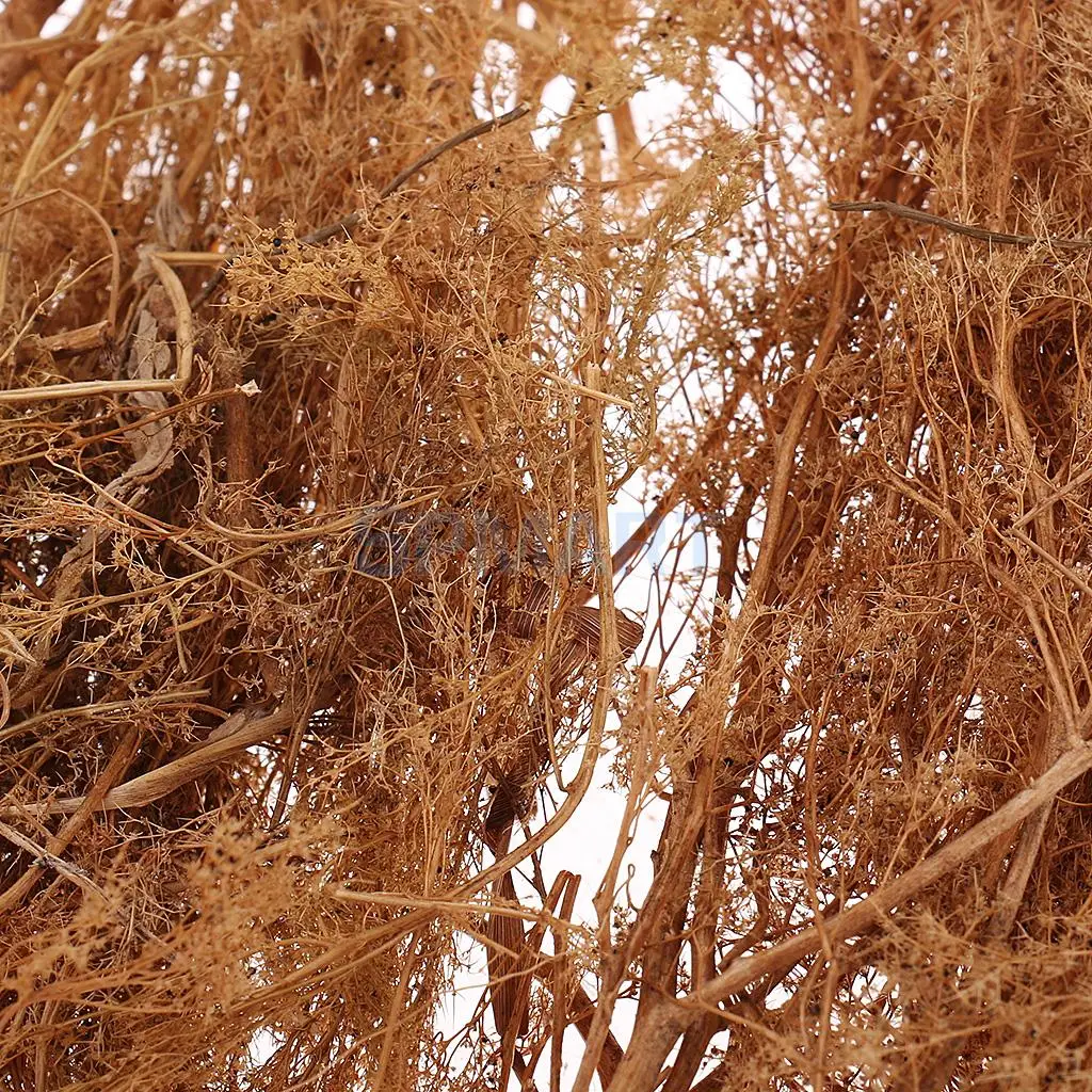 Модель дерева киноа 25 см для самостоятельной сборки железной дороги диорамы