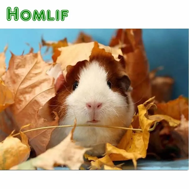 HOMLIF DIY алмазная живопись с животными Милая морская свинка наборы для вышивки