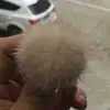 Изображение товара 1