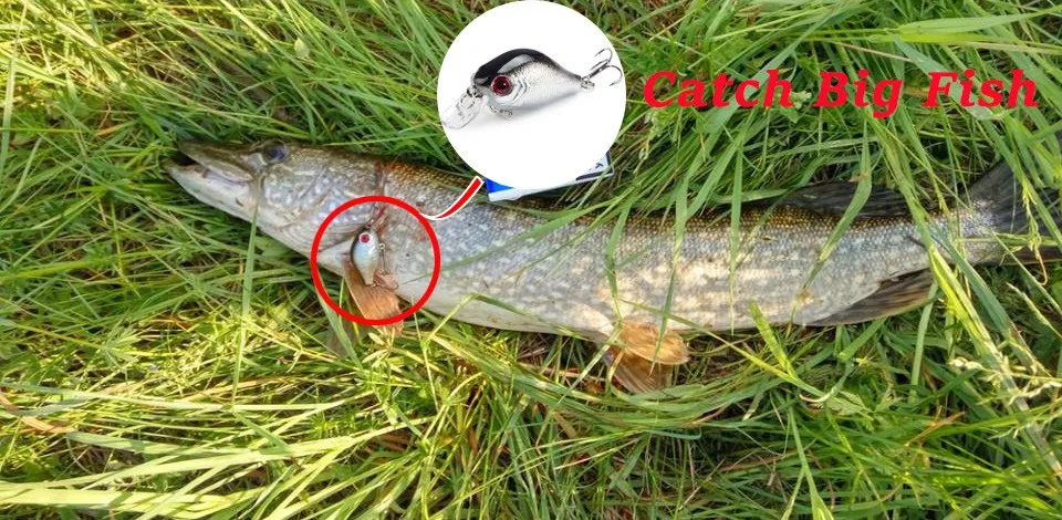 1 шт 5,5 см, вес: 9 гр, PESCA, воблер, твердая приманка снасть искусственные приманки наживка рыбы японский воблер