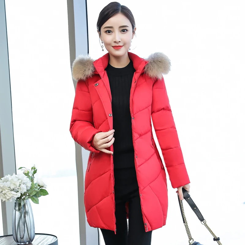 Хан издание cultivate one's morality фильм новинка зимние куртки в женский длинный