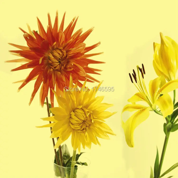 Абстрактная желтая Маргаритка большого размера 3 шт. Настенная картина для