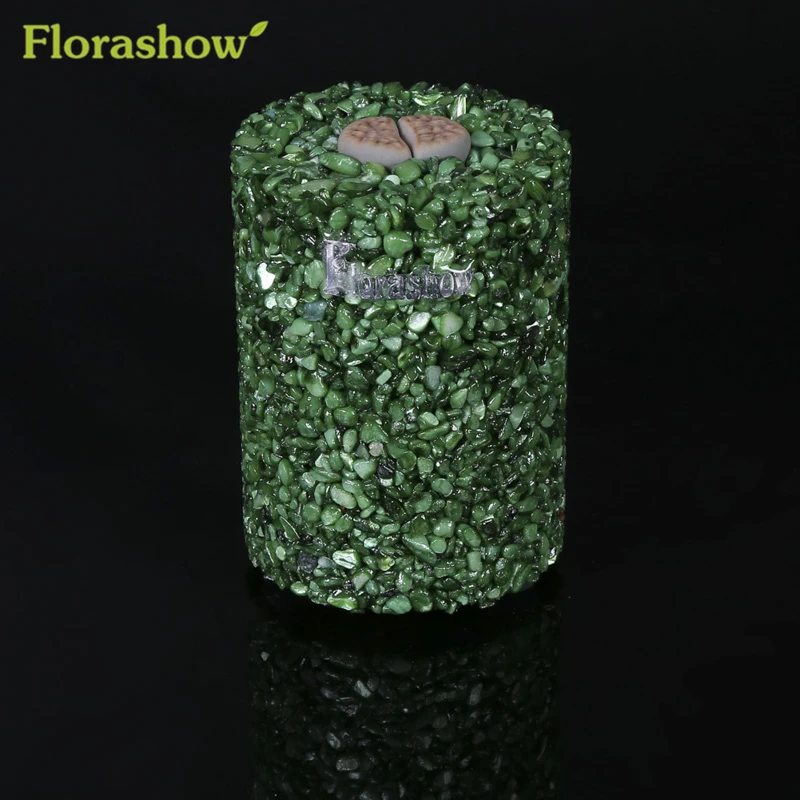Florashow растений горшки мини развивать суккулентов окрашенная зеленый снарядов