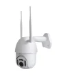 EU Plug Smart Wifi IP Camera Outdoor IP66 Security Wireless IP Camera ONVIF Support 8 LEDS Infrared Night Version