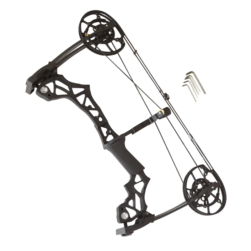 Стрельба из лука катапульты стальной шар Bowfishing двойного назначения блочный лук 40