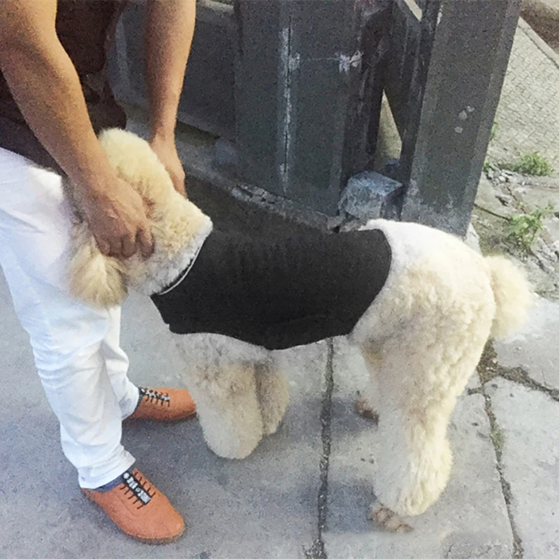 Hoomall 1 шт. одежда для домашних животных душевного аппетита собак тревога