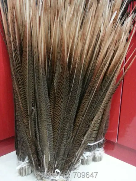 

Wholesale Long Feathers!50Pcs/Lot!45-50CM 18-20inch natural color Golden Pheasant Tails Side Feathers Golden feathers
