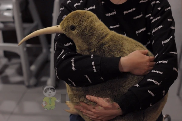 Big KIWI Kiwi Bird Doll Pillow Plush Toys Simulation Animal Gifts 50cm | Игрушки и хобби