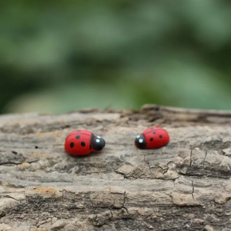 10Pcs/lady bugs/insects/beatle/miniatures/lovely animals/fairy garden gnome/moss terrarium decor/crafts/bonsai/r008/model/toy | Дом и сад