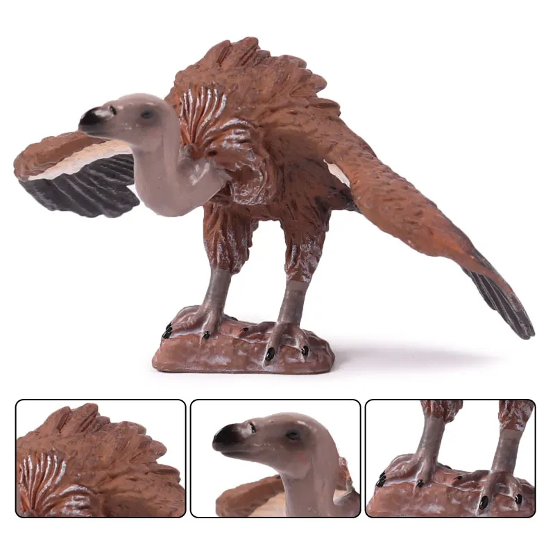 Фигурки животных Oenux Raptor Cinereous фигурки птиц Коллекционная модель совы обучающая
