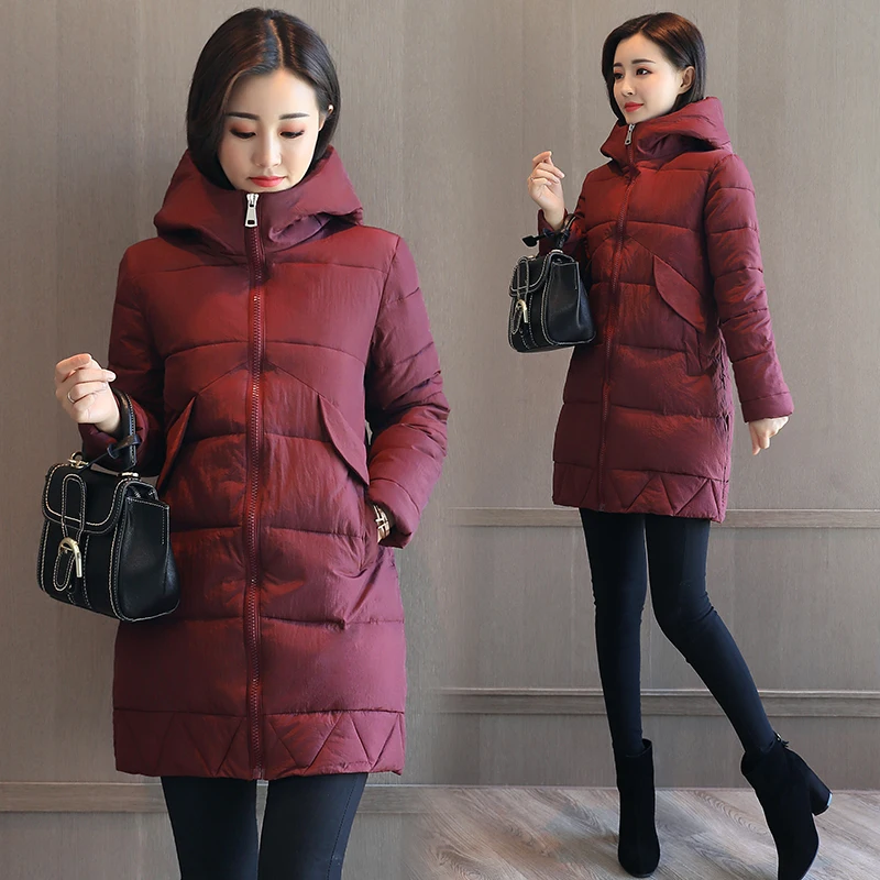 Brieuces Winter Coat Women 2018 New Wadded Jacket Solid Color Hooded Thick Warm Parkas Cotton Padded Outwear | Женская одежда
