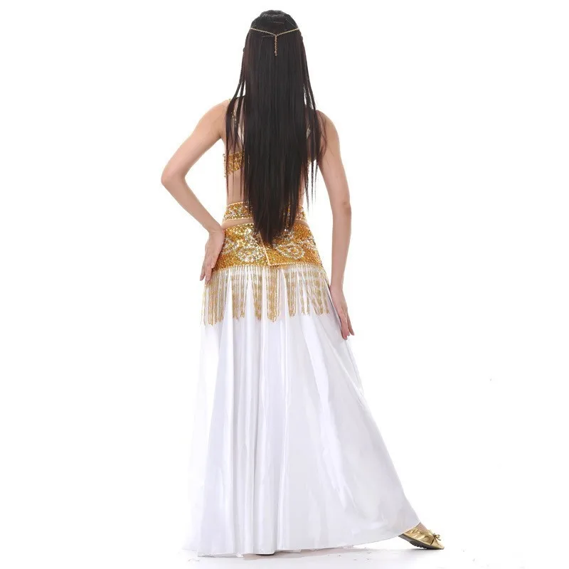 Комплект из бюстгальтера и пояса для танца живота с длинной юбкой | Тематическая