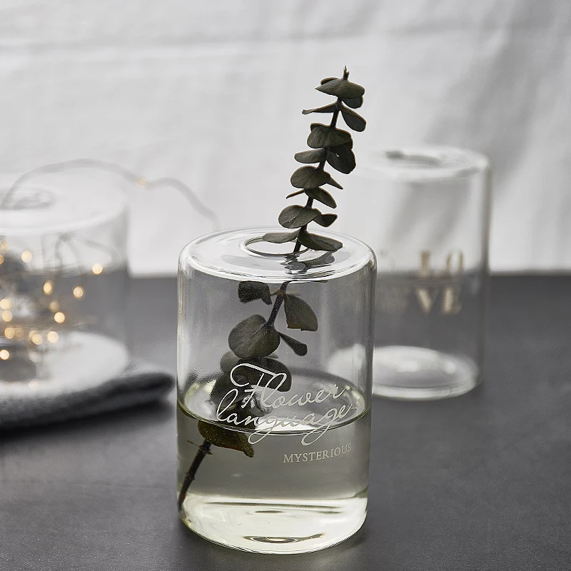 Европейская стеклянная ваза прозрачная прямая цилиндрическая гидропонная