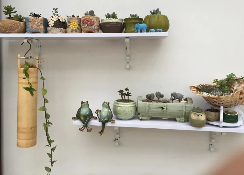 Забавные мультяшные лягушки дневные украшения свадебные Монро декорации