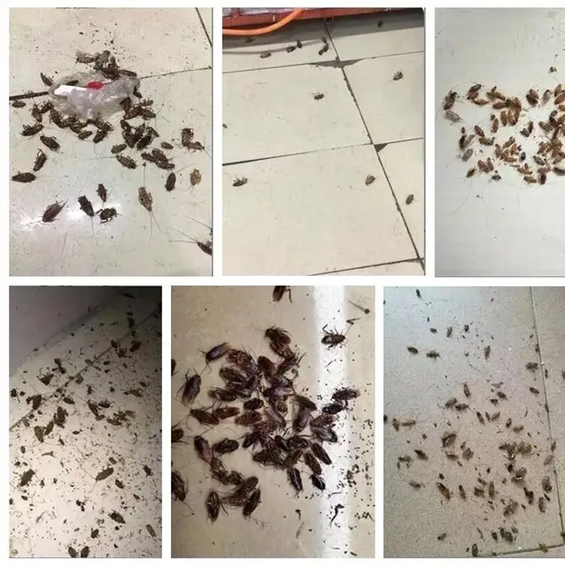 3 шт. мощный таракан гель приманки убийца тараканов силы лекарственные средства