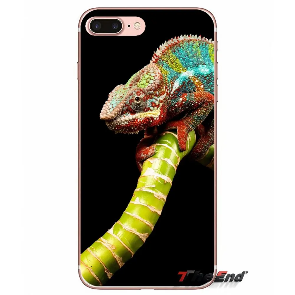Животное Пляж пейзаж рептилий Змея чехол для samsung Galaxy S2 S3 S4 S5 MINI S6 S7 edge S8 Plus Note 2 3 4 5