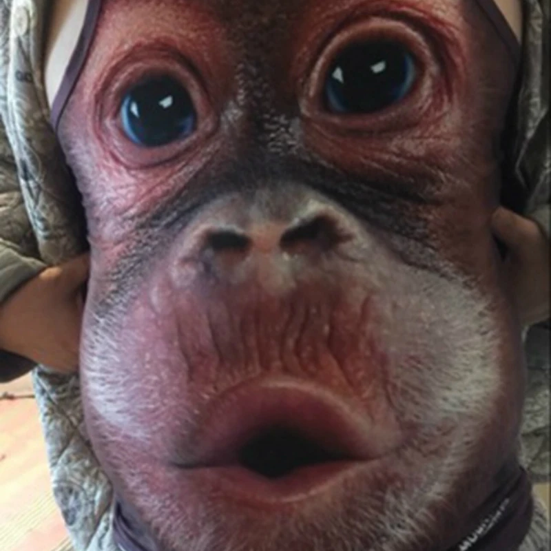 Tank Top Men Vest Casual Fitness Cotton Sleeveless Shirts Men's Hip Hop Shirt Mens Singlet Funny Undershirt | Мужская одежда