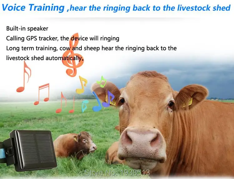 2017 New Solar GPS tracker RF-V26 Never Power OFF Tracker Waterproof Animal Pet support APP/IOS/SMS | Безопасность и защита