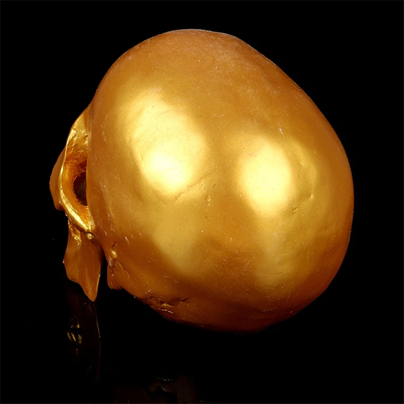 

Human.skull model medical simulation teaching equipment resin skull Ornament Gift YTTG007