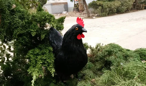 Черная креативная игрушка цыпленок из смолы и меха большой член модель подарок