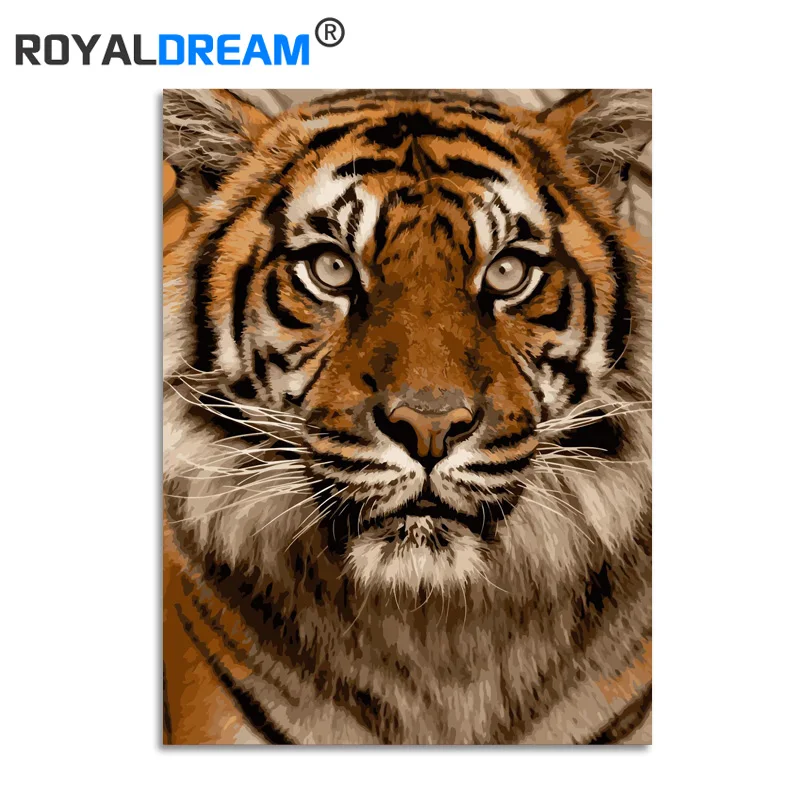 ROYALDREAM тигр животные DIY цифровая картина маслом по номерам Европейская