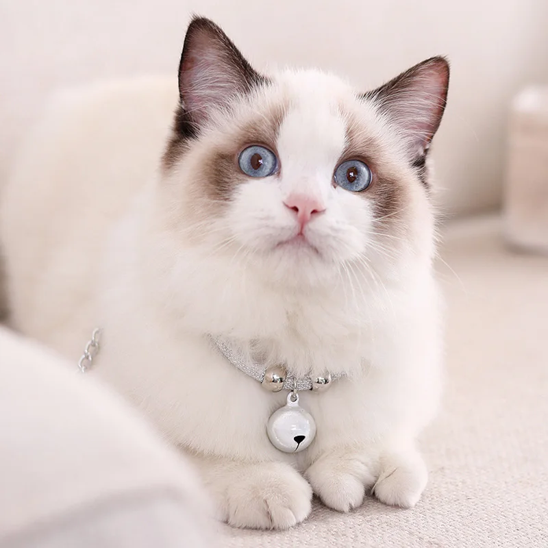 Hot Sale Cat Collar Necklace Lovely Pet Puppy Chain Adjustable Personalized Fashion Bell Accessories | Дом и сад