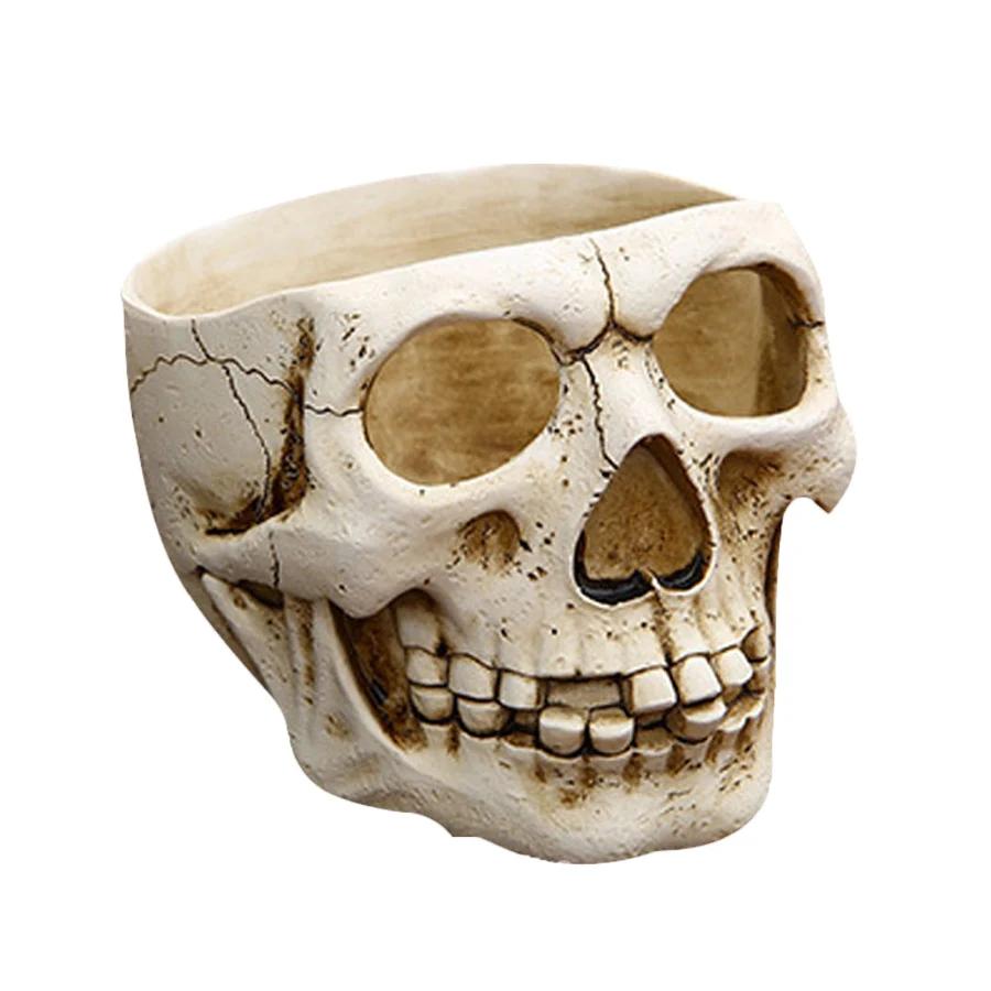 Изделия из смолы человеческий зуб череп окаменелости обучающая модель скелета