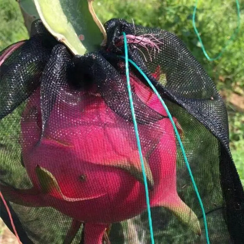 30 шт 40 сетка черная Pitaya Фрукты борьба с вредителями нейлоновая сумка-сетка
