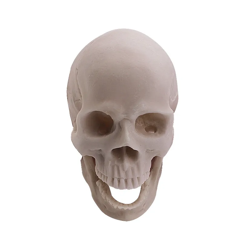 Распродажа череп таза челюсти и скрапбукинг металлический анатомический скелет