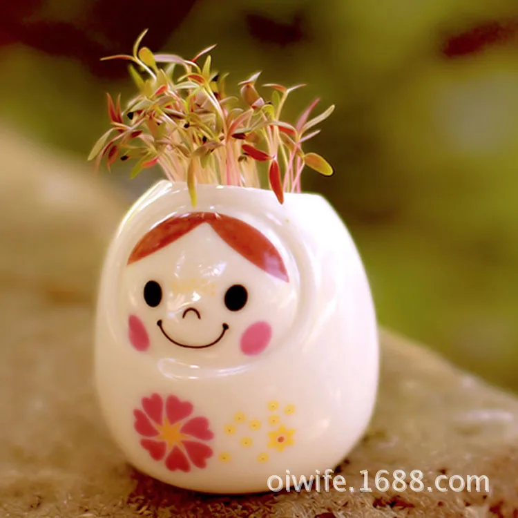 Сделай Сам офис мини-бассейна передача любовь эльф Крытый зеленый суккуленты в