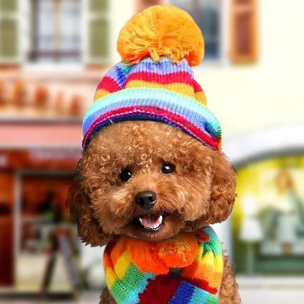 

Petcircle Pet hat scarf foot kitten cat dog Teddy autumn and winter teddy puppies Bomi clothes accessories 2018 new arrival