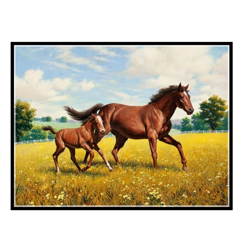 

Набор для вышивания, 14/16/18/27/28 Golden Panno, Набор для вышивки крестиком DMC, Набор для вышивания 14ct, хлопковые нитки без принта