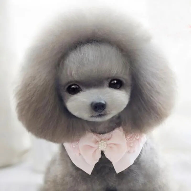 Pet Dog Accessories Bow-Knot Ties Handmade Necklace Puppy Neckties For Small Dogs Collar Fur Adorn Pearl Grooming Supplies | Дом и сад