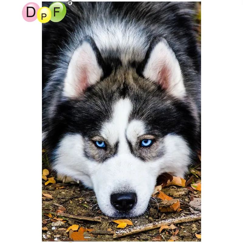 

DPF DIY husky 5D diamond painting cross stitch home decor diamond mosaic square crafts diamond embroidery needlework
