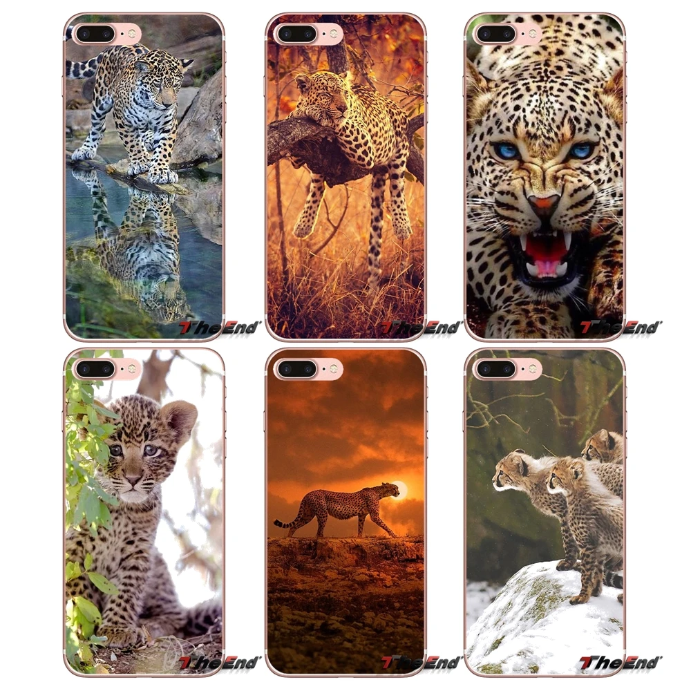 Мягкий чехол для iPhone X 4 4S 5 5S 5C SE 6 6S 7 8 Plus Samsung Galaxy J1 J3 J5 J7 A3 A5 2016 2017 Baby Cheetah Full Speed Sunset|case