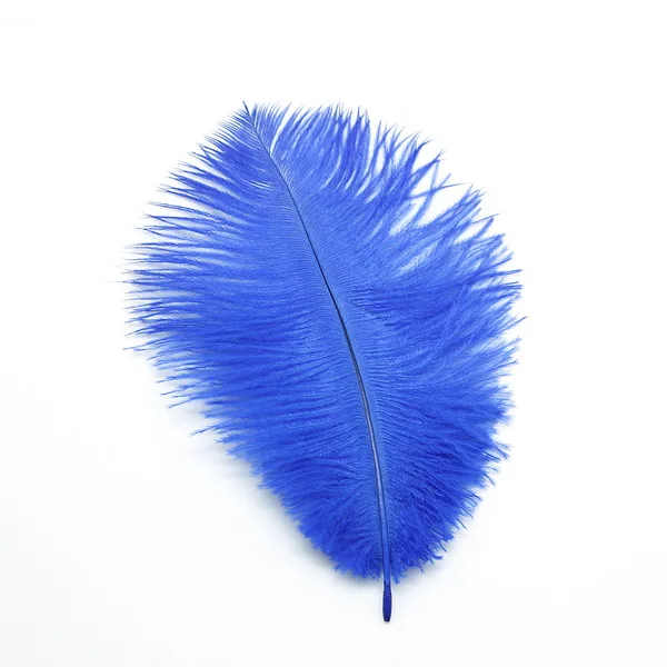 royal blue 15-20 см(6-") страусиное перо 10 шт./лот 13 смешанных цветов Сделай Сам Изготовление ювелирных изделий и украшение для свадебной вечеринки - Цвет: royal blue
