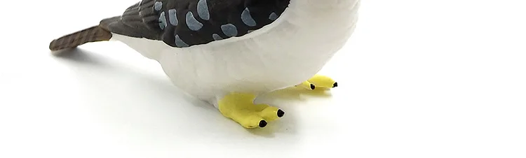 Имитация леса Kookaburra Ганнет фигурки миниатюрных животных модель птица фигурка Сказочный Сад Декор Аксессуары Украшения