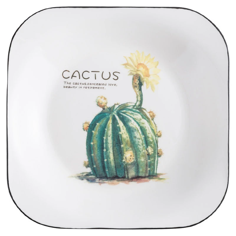 

Nordic Cactus Pattern Ceramics Plates Creative Square Cake Fruit Dessert Salad Heatable Dish Multi-function Decoration Tableware