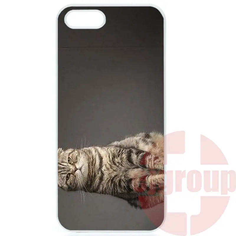 Печати Телефон серый кот с зенит камеры Для Apple iPhone 4 4S 5 5C SE 6 S 7 Плюс 4.7 5.5 iPod Touch |