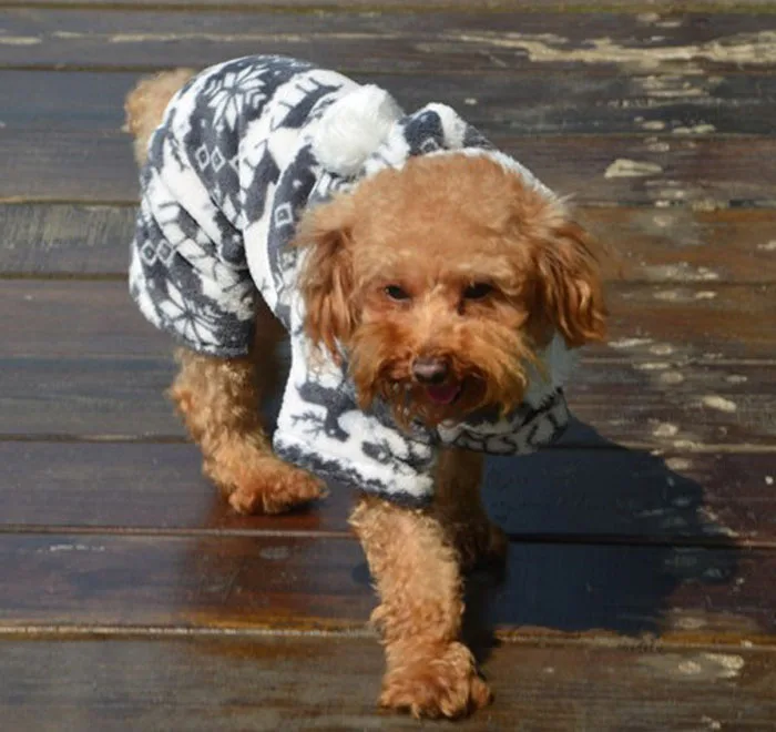 1PC New Stylish Pet Dog Warm Clothes Puppy Jumpsuit Hoodie Coat Doggy Apparel pet supplies vestiti inverno cane #XTT | Дом и сад