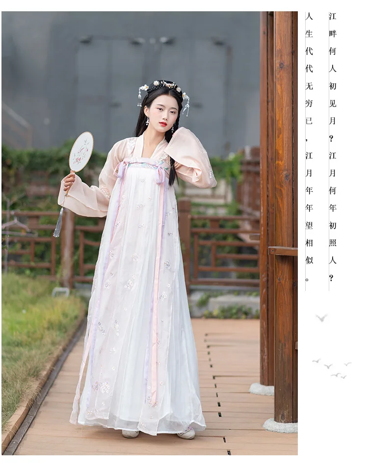 Hanfu Женский длинный рукав вышивка костюм Хана элемент династии Тан традиционный костюм Юбки феи платье принцессы для взрослых DN3508