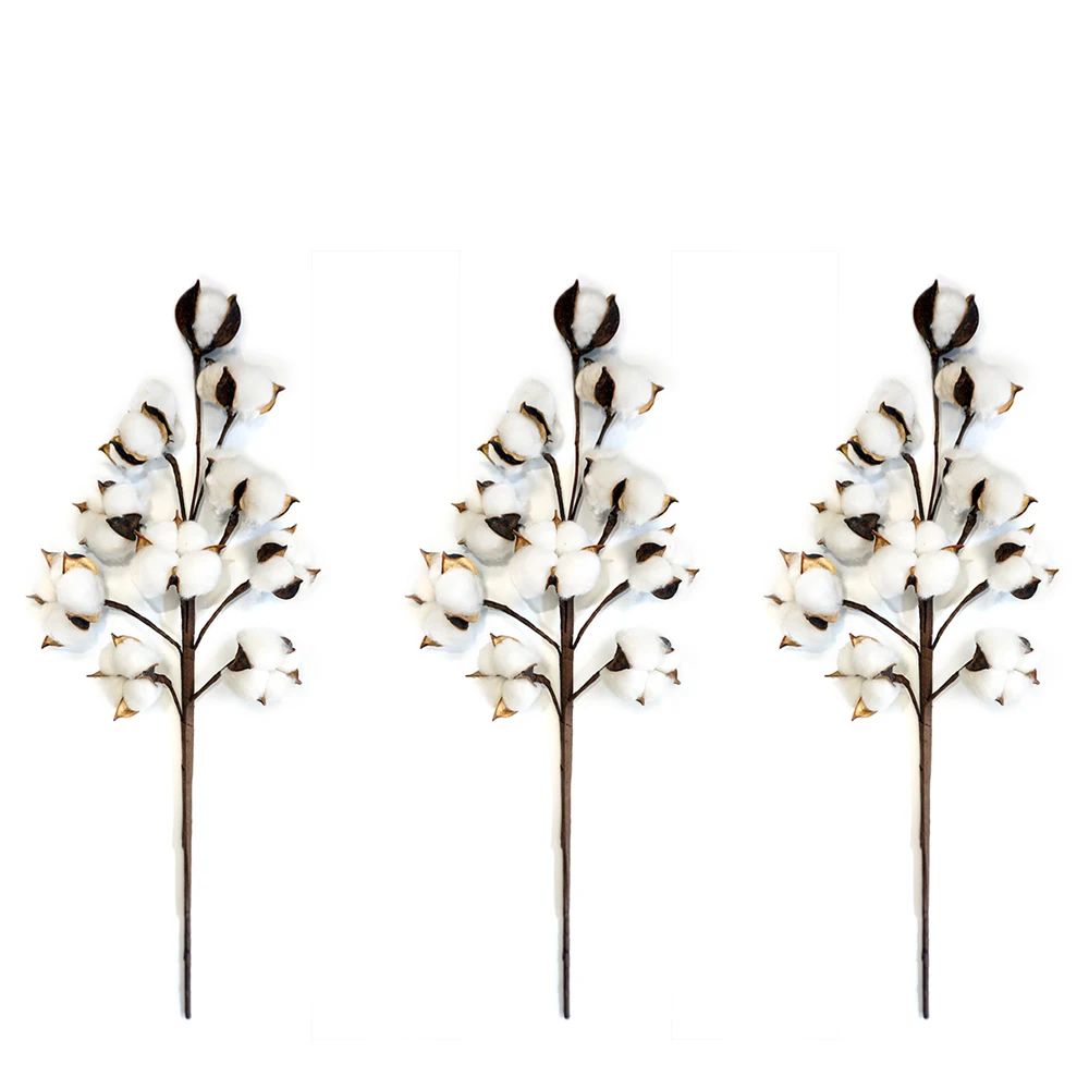 Натуральные Сушеные стебли хлопка для фермерского дома искусственные хлопковые