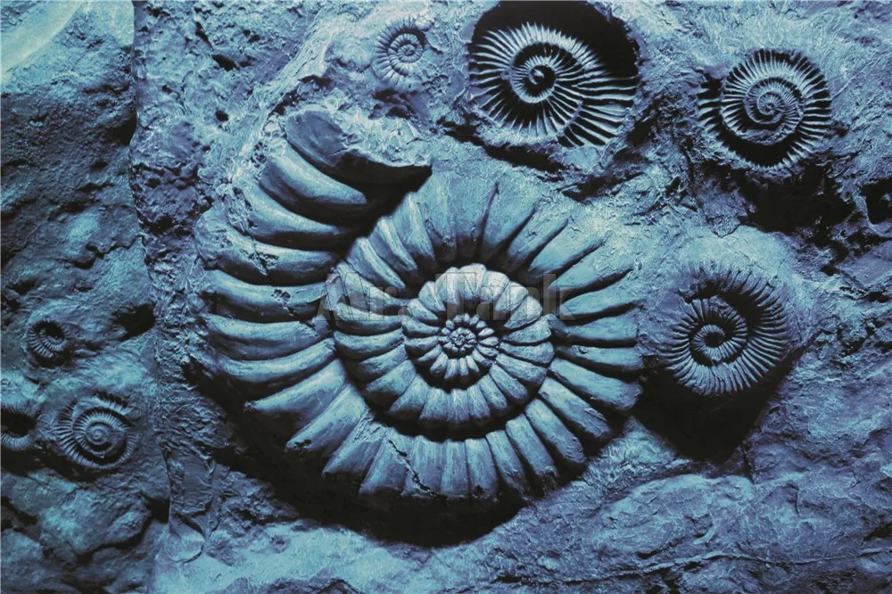 Mr. Tank 3D эффект аквариума задний фон плакат Ammonoid ПВХ аквариум украшения морские создания fossil фон стикер на стену