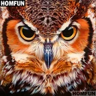 Алмазная живопись HOMFUN A01617, полноразмернаякруглая 5D Вышивка крестиком Сова с животными, домашний декор, подарок, сделай сам